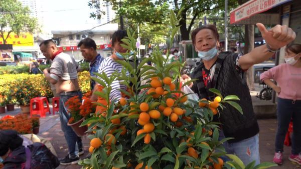 Flower City， Flower Fair， Flower Florist