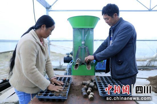 盐源：以先进技术培育优新品种 为苹果产业发展“提档次” 