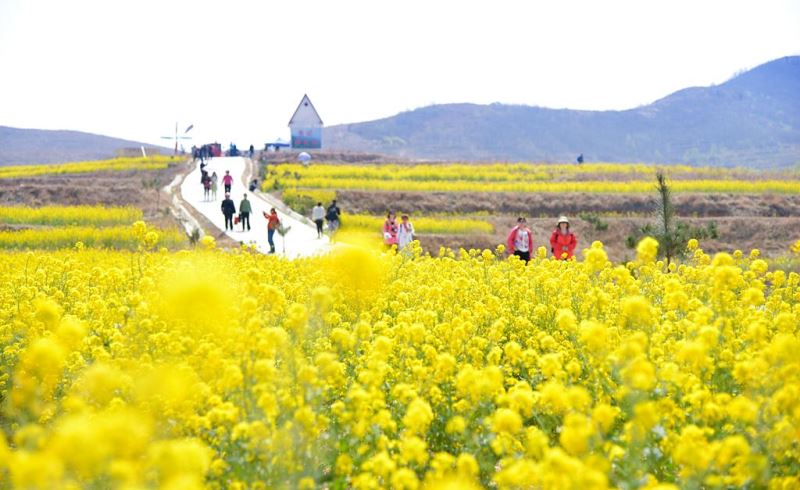 清明节假期中国国内旅游出游2376.64万人次