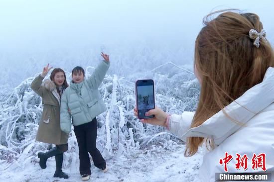 重庆武隆仙女山国家森林公园现春日雾凇美景