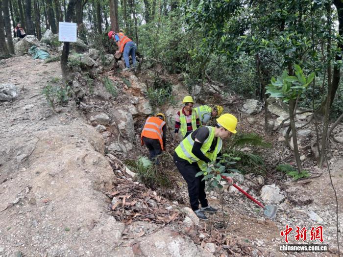 广州暹岗大山被采挖坑洞全部回填复绿