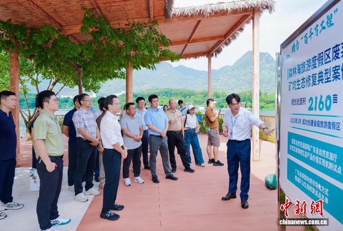 侨界青年在广州助力环“两山”引领区建设发展