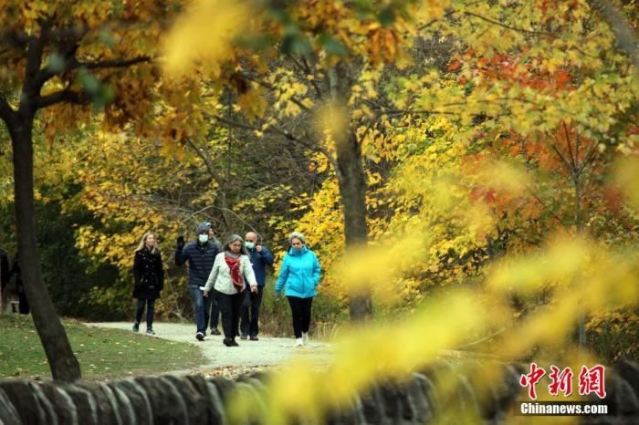 加拿大新冠死亡病例突破一万例