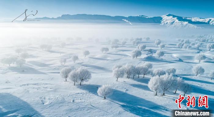 图为第六届“魅力拉萨”摄影大赛获奖作品《雪景》。　活动方 供图 摄