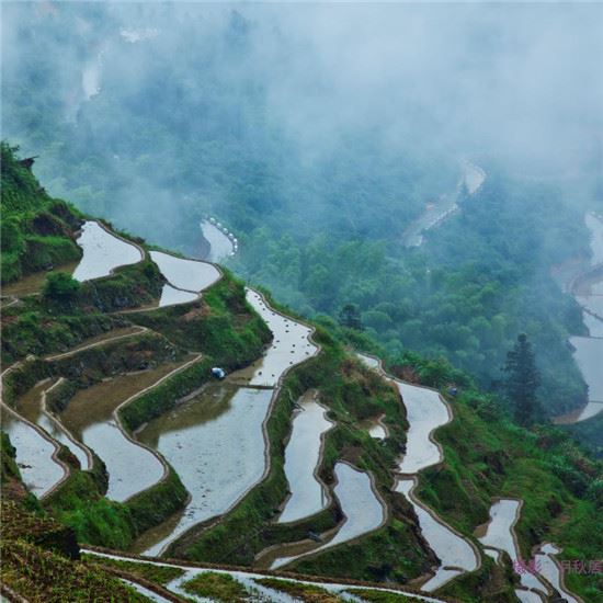 钱塘江源头奏响生态旅游 “富民曲” 开化处处绽放旅游之花